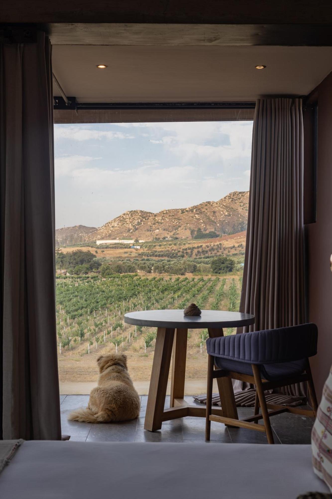 Bruma Wine Resort 瓜达鲁佩镇 外观 照片