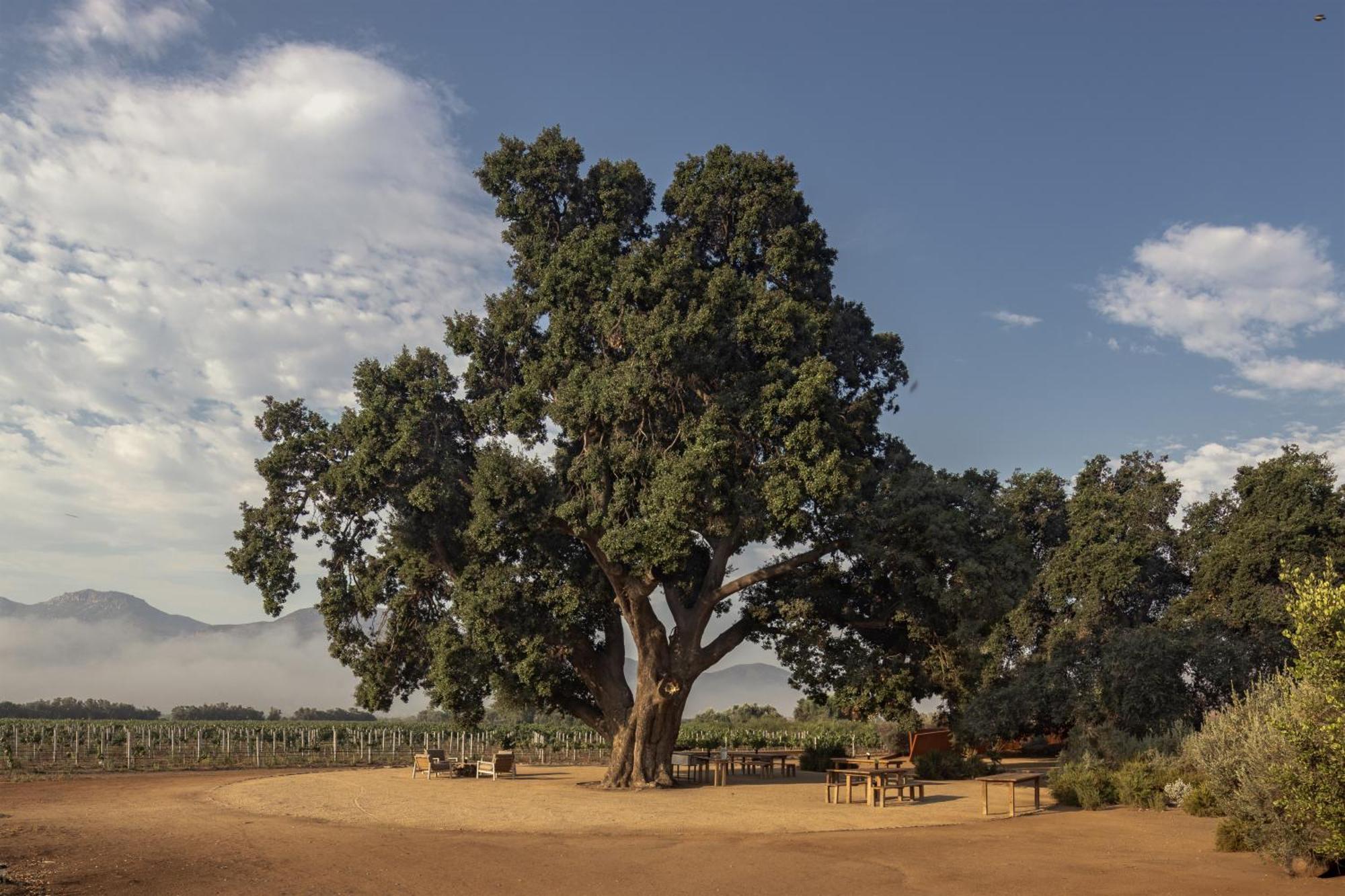 Bruma Wine Resort 瓜达鲁佩镇 外观 照片