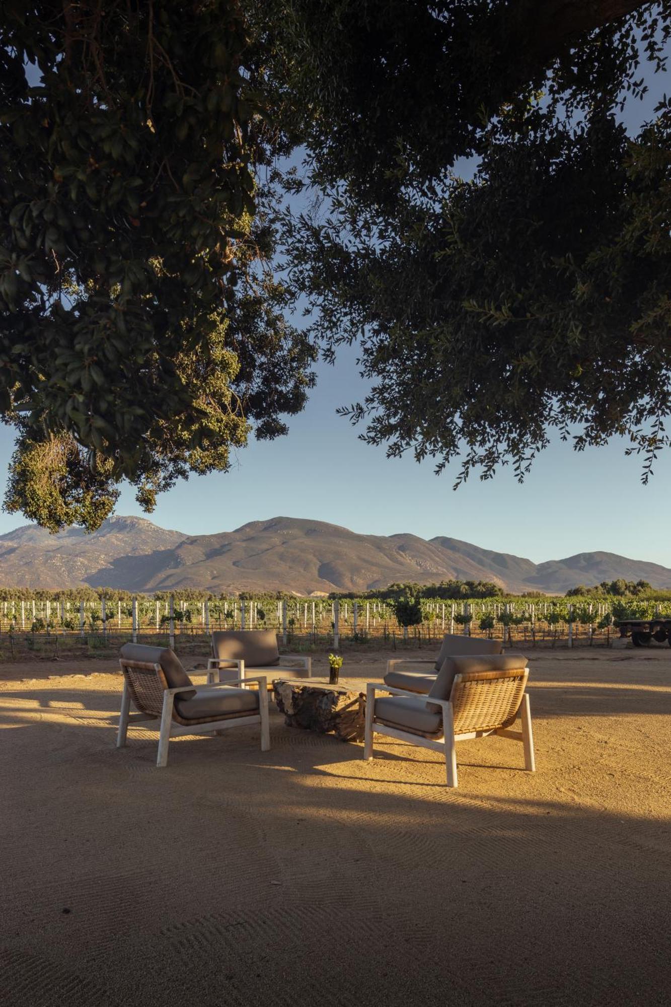 Bruma Wine Resort 瓜达鲁佩镇 外观 照片