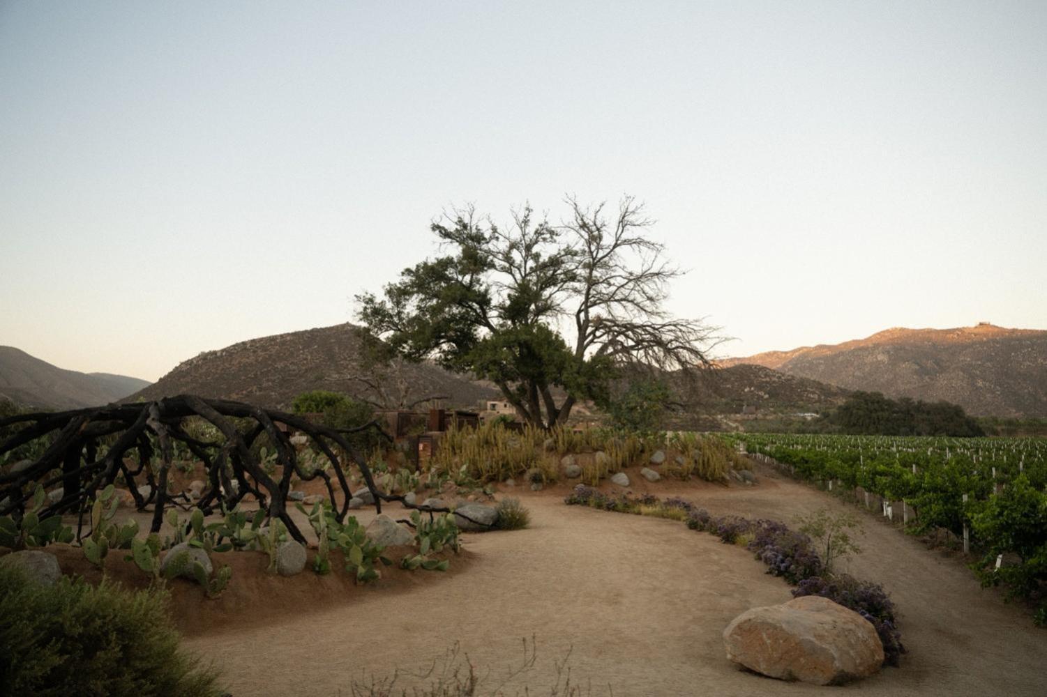 Bruma Wine Resort 瓜达鲁佩镇 外观 照片