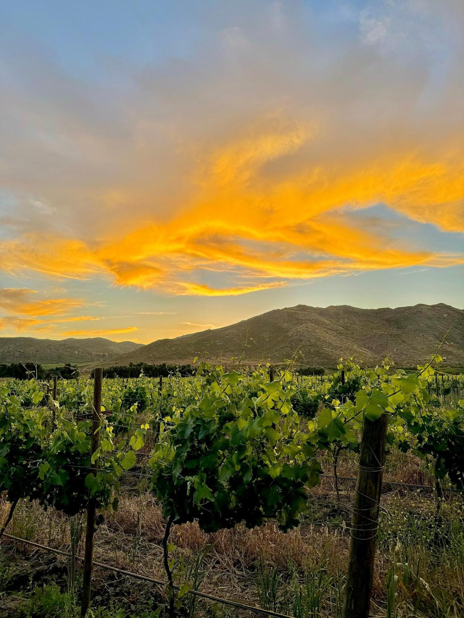 Bruma Wine Resort 瓜达鲁佩镇 外观 照片